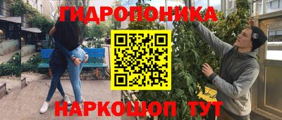 PSILOCYBIN Ярославль
