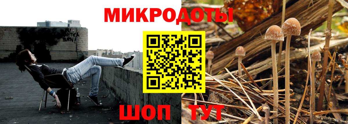 Галлюциногенные грибы Psilocybine cubensis Михайловск