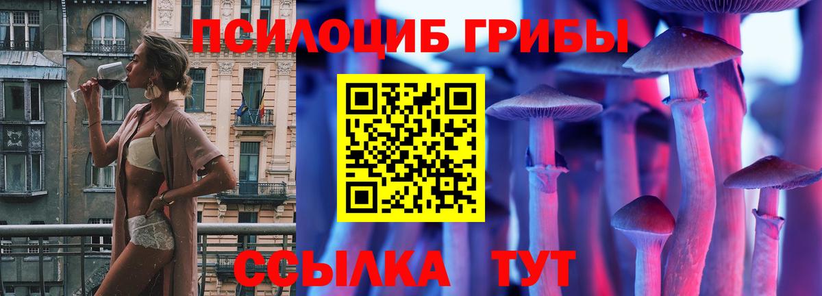 Псилоцибиновые грибы Psilocybe  Вход с VPN  Михайловск 